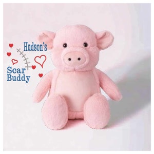 Pig Scar Buddy CHD, Heart Awareness Bear, Heart Surgery Bear, CHD Gift, Personalised Scar Buddy, Heart Warrior Bear, Boy or Girl