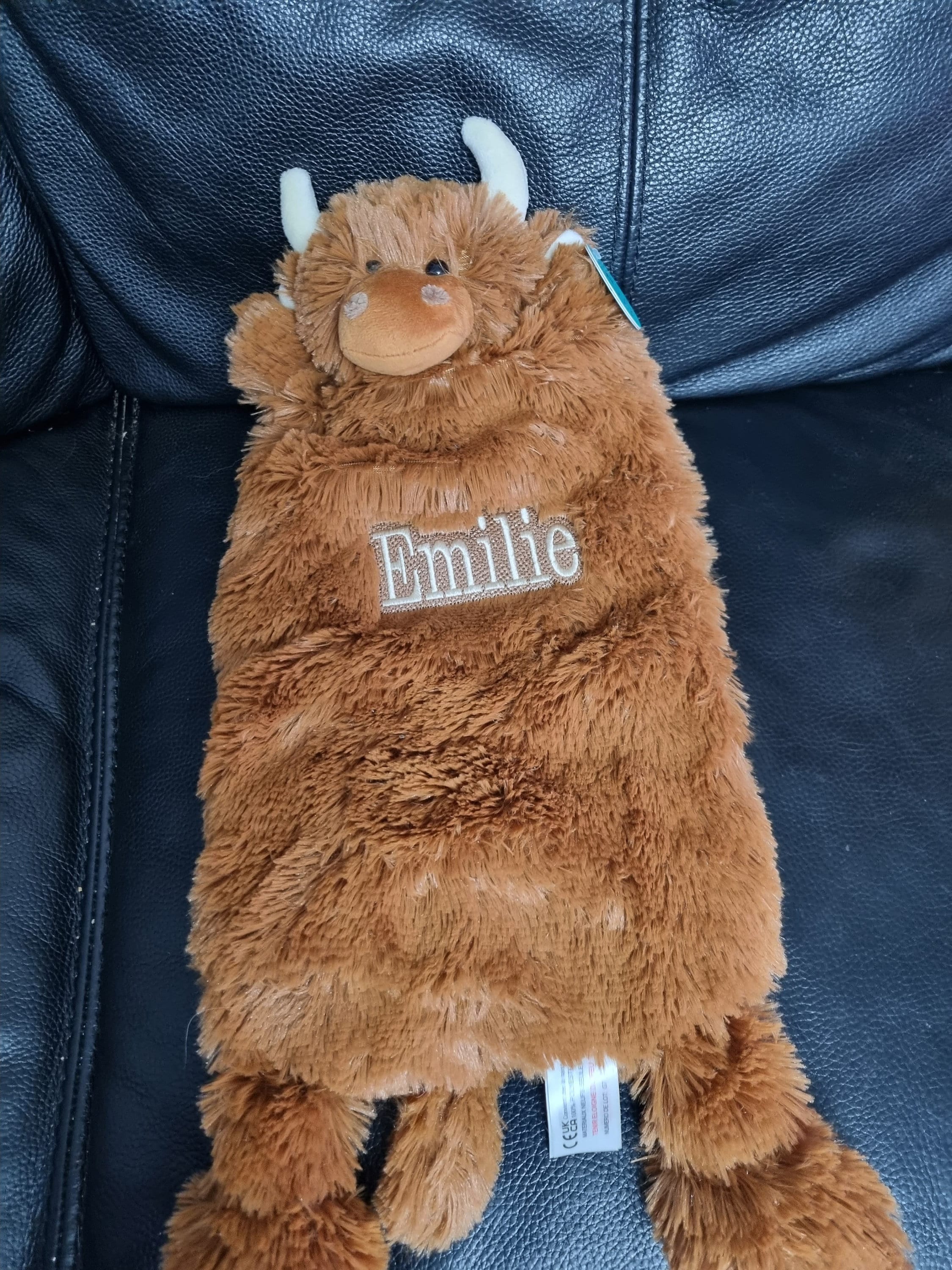 Highland Cow Hot Water Bottle Highland Cow Bottle Gift Etsy UK