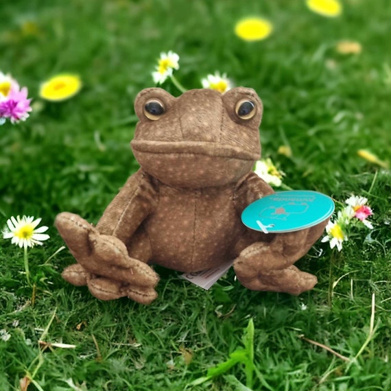 Cuddly Toy Frog Toad Green 11cm, Personalised Name on A Tag, Personalized  Cuddly Toy, Stuffed Animal, Cuddly Toy Plush Toy 