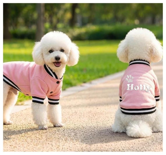 Varsity Dog Jacket | Satin Pet Jacket With Harness Hole