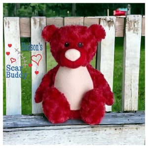Red Bear Scar Buddy CHD, Heart Awareness Bear, Heart Surgery Bear, CHD Gift, Personalised Scar Buddy, Heart Warrior Bear, Boy or Girl