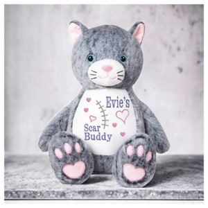 Heart Surgery Bear, Heart Disease Bear, Heart Awareness Bear, CHD Hero Bear, CHD Gift, Personalised Heart Warrior Bear