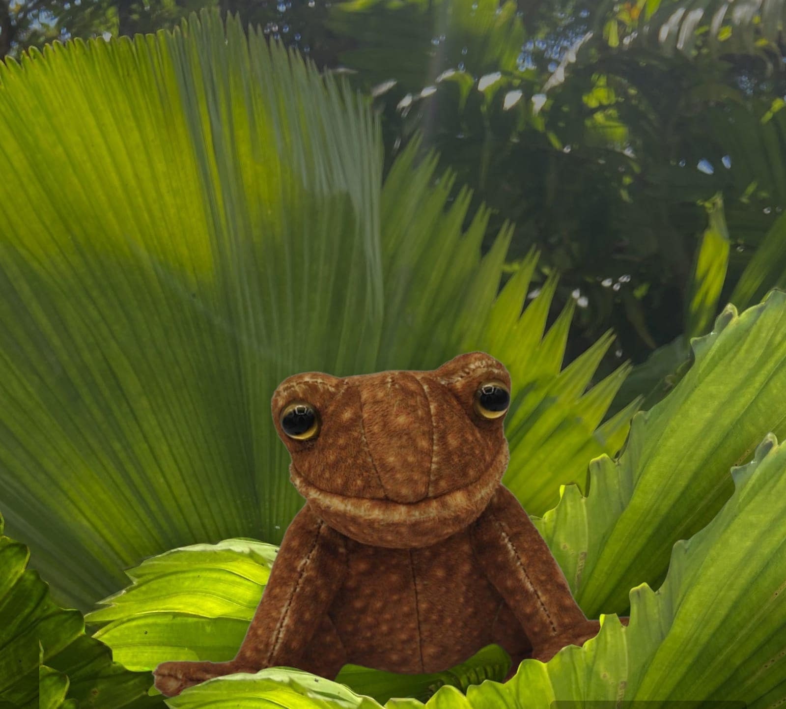 Personalized Toad Plush Toy: Green Cuddly Frog With Engraved Tag (11cm) -  Etsy, image size:1600x1443