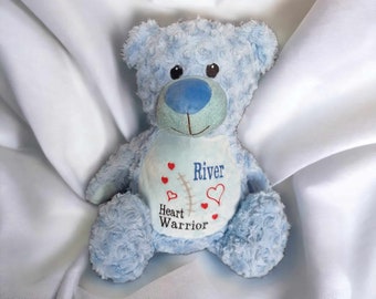 Heart Warrior Teddy Bear, Stuffed Animal, Heart Surgery Bear, Heart Warrior, Personalised Heart Warrior Gift, Scar Buddy, CHD Gift, CHD