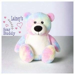 Pastel Bear Scar Buddy CHD, Heart Awareness Bear, Heart Surgery Bear, CHD Gift, Personalised Scar Buddy, Heart Warrior Bear, Boy or Girl