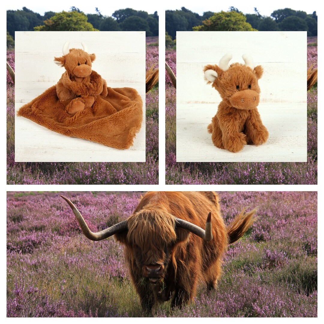 Highland Cow Comforter & Mini Highland Cow Baby Gift Set, Mummy to Be