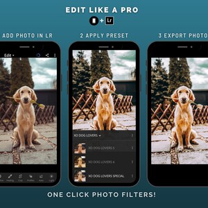 Adobe lightroom editing, dogs presets special created for animal photography