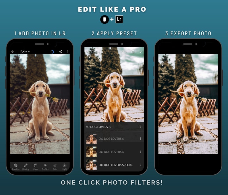 Adobe lightroom editing, dogs presets special created for animal photography