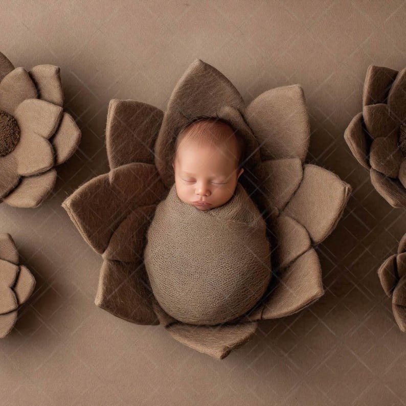Neutral & Cozy Newborn Digital Backdrops – Soft Beige Minimal Baby ...