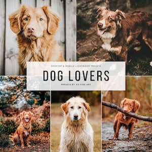 Dog Lightroom Presets: Mobile & Desktop Filters (XMP, DNG)