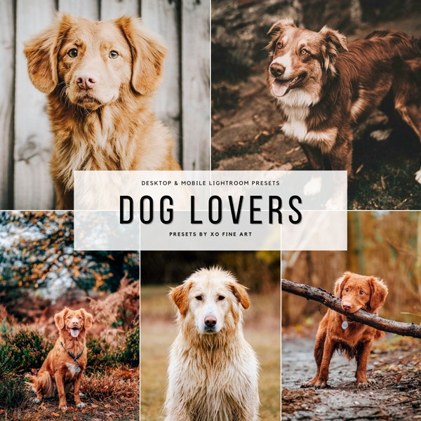 Dog Preset | 7 Lightroom Mobile & Desktop Presets | Pets, Puppy, Cats Instagram photo filters | Animal photography | XMP , DNG