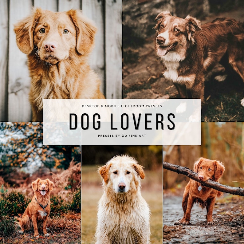 lightroom Presets,desktop mobile, Instagram filters, moody portrait, best lifestyle, influencer blogger, vsco photoshop, travel photography, rose gold pastel, Light and Airy, summer spring,