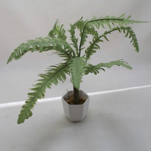 Dolls House Miniature Tall Fern in White Pot - Unknown Artisan