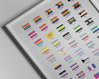 Affiche de la fierté LGBT - 45 drapeaux de la diversité gay, trans et queer, art arc-en-ciel vibrant, cadeau pour LGBTQIA + amour pour toutes les identités