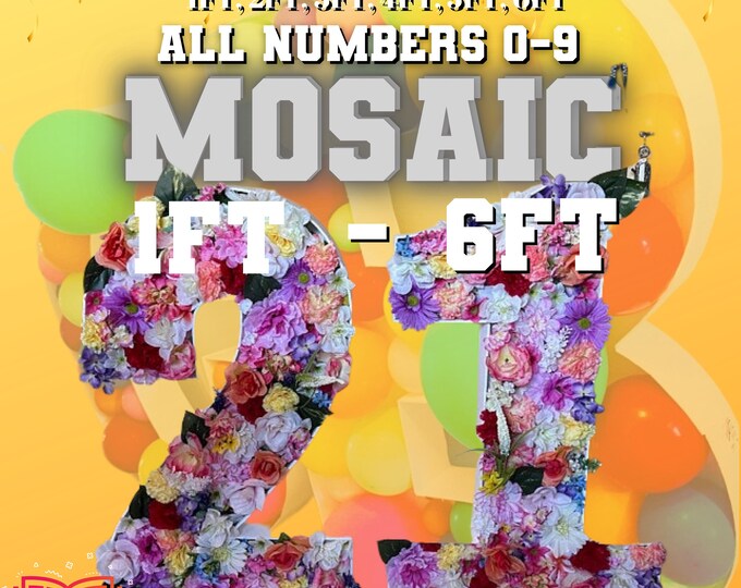 6ft 5ft 4ft 3ft 2ft 1ft Mosaic All 0 to 9  Numbers from Balloons with Instructions Book