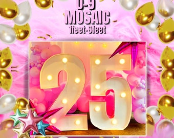 6ft 5ft 4ft 3ft 2ft 1ft Mosaic All 0-9  Numbers from Balloons PDF files with Bonus 7ft Numbers And Instructions Book Large Number 1234567890