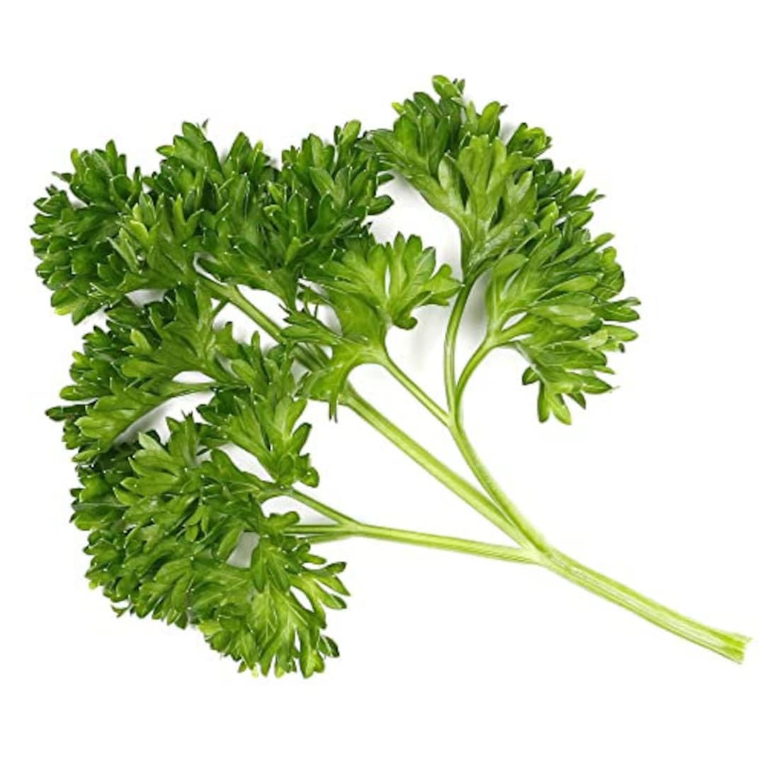 Mixed Herb Selection Parsley Mint Rosemary 3 X Full Etsy UK