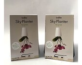 Self-Watering Inverted Houseplant Planter - Boskke Sky Planter - 12cm (Anthracite)