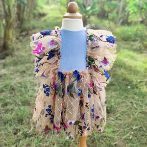 Newborn & Sitter Dress, Birthday Baby Girl, Baby Party Dress, Baby Boutique, Newborn Romper, Photoshoot Dress, Blue Baby Dress, Sitter Baby