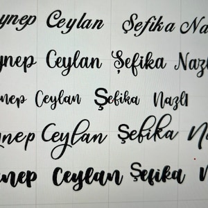 May include: Five rows of black cursive text on a white background. The text reads: "Zeynep Ceylan Şefika Nazlı".