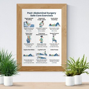 May include: A framed poster with the title "Post-Abdominal Surgery Safe Core Exercises" and illustrations of various exercises. The poster includes instructions for breathing, pelvic floor activation, and other movements. The frame is a light brown color.