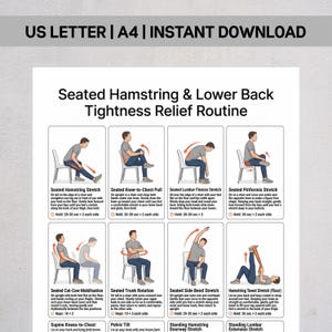 May include: A white instructional poster titled Seated Hamstring & Lower Back Tightness Relief Routine. It features eight illustrated panels showing individuals performing various stretches on chairs or the floor, with text instructions for each exercise.