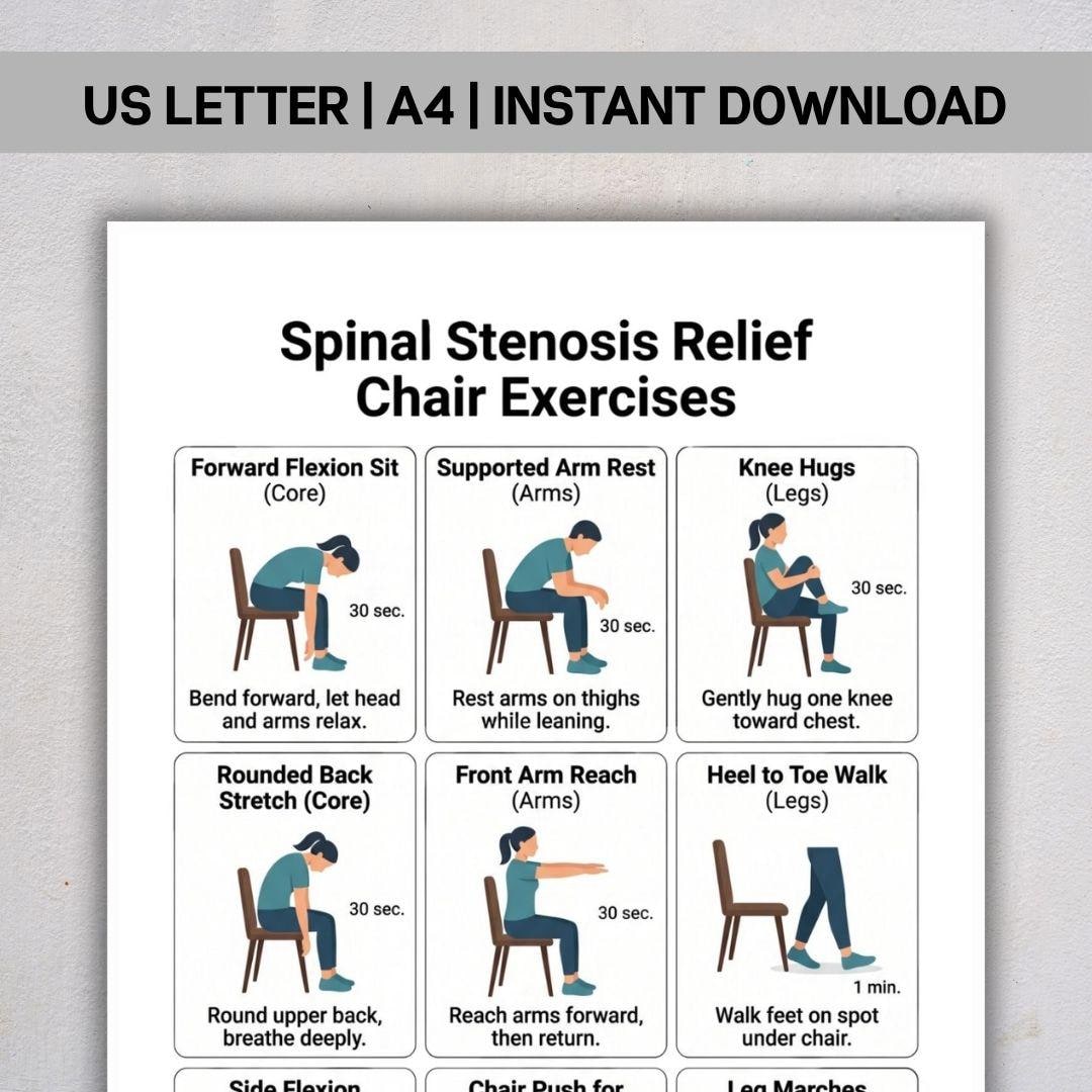 Spinal Stenosis Relief Chair Exercises PDF, Seated Back Pain Stretches ...