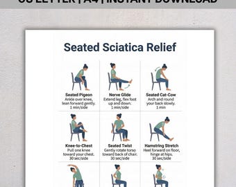 Sciatica Relief Chair Routine, Seated Stretching Chart PDF, Gentle Nerve Pain Exercises, Low Impact Seated Workout, Instant Download
