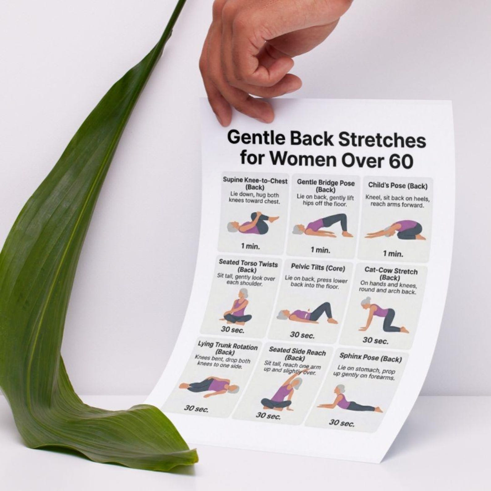 Gentle Back Stretches for Women Over 60 PDF, Senior F…