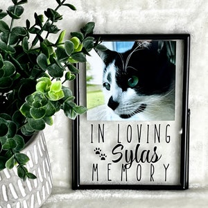Cat Lovers!! Custom Cat Frame with Picture - Customizatble!