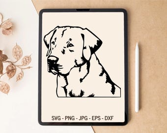 Labrador SVG, Golden retriever SVG, Laying labrador SVG, Dog svg, T-shirt Design, Tumbler Design, Laser cut files, svg files for Cricut