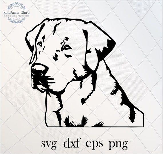 Labrador Svg Labrador Retriever Svg Dog Svg Pets Svg | Etsy