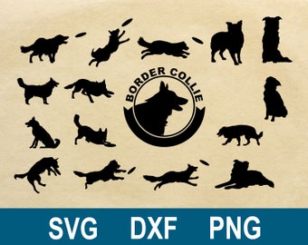 Download Border Collie Svg Etsy
