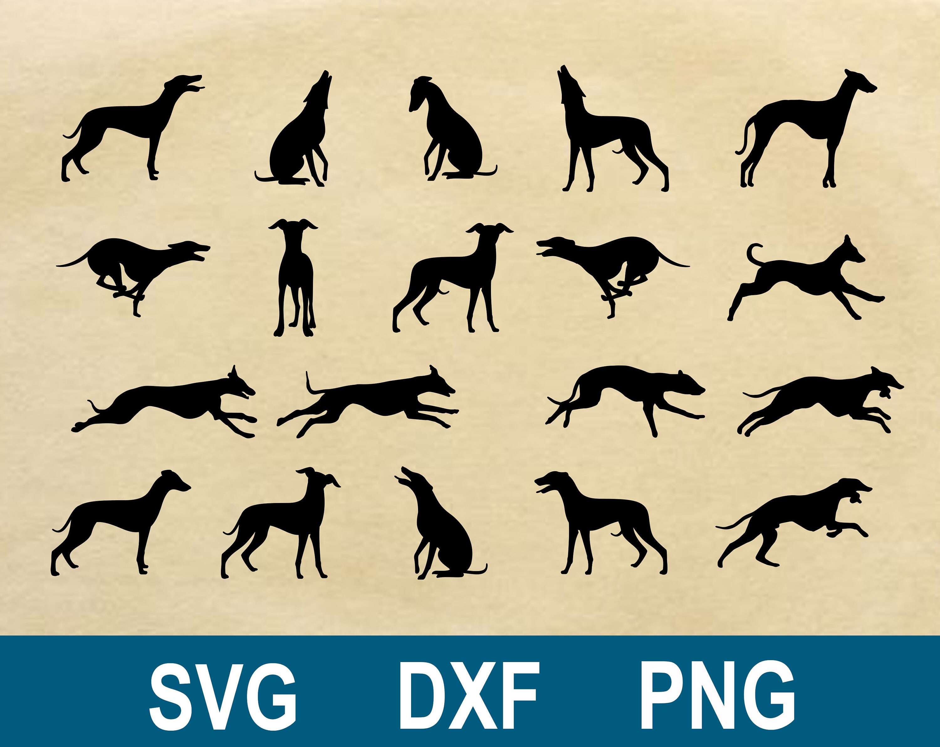 Whippet SVG DXF PNG Clipart Silhouette et Cut Files. | Etsy