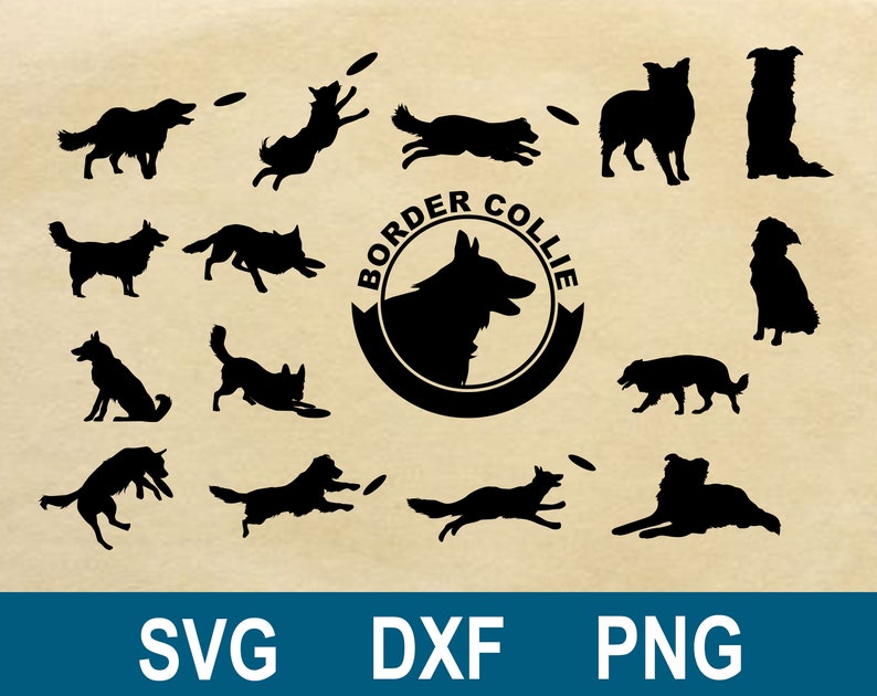 Download Border Collie SVG DXF PNG Clipart Silhouette et Cut Files ...