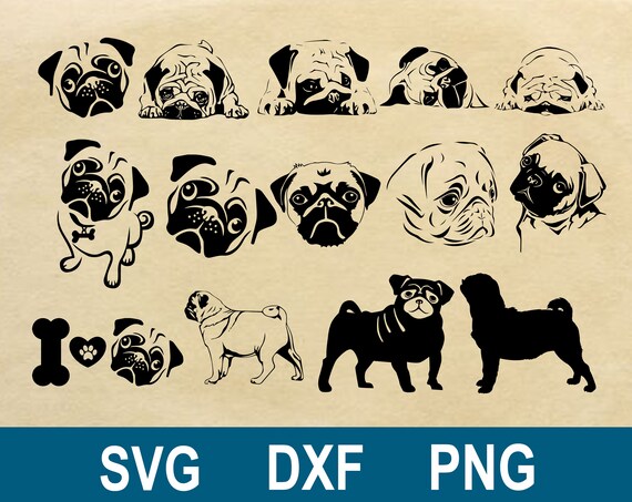 Download Pug Svg Dxf Png Clipart Silhouette And Cut Files Etsy