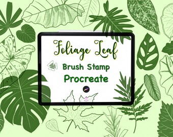 Procreate Brush stamp Foliage Leaf, Solid, line art, Tropical leaves, Plant, Botanical, Summer, Spring,House,Gift Idea,Monstera,Philodendron