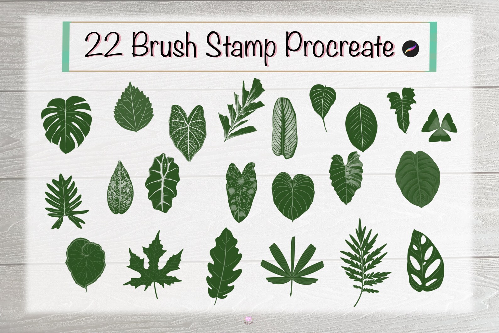 Procreate Brush Stamp Foliage Leaf Solid Line Art Tropical Etsy
