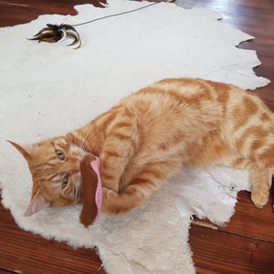 May include: An orange tabby cat plays with a brown and pink toy on a white rug. The cat is lying on its side, with its paws extended. A feather toy lies nearby on the rug.