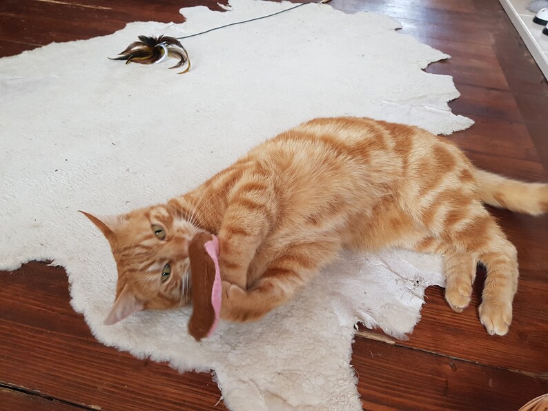 May include: An orange tabby cat plays with a brown and pink toy on a white rug. The cat is lying on its side, with its paws extended. A feather toy lies nearby on the rug.