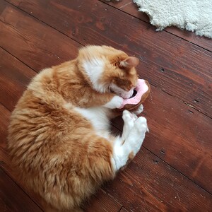 May include: A fluffy orange and white cat plays with a pink and brown donut-shaped toy on a dark wood floor. The cat is curled up, paws on the toy, with a white rug in the background.