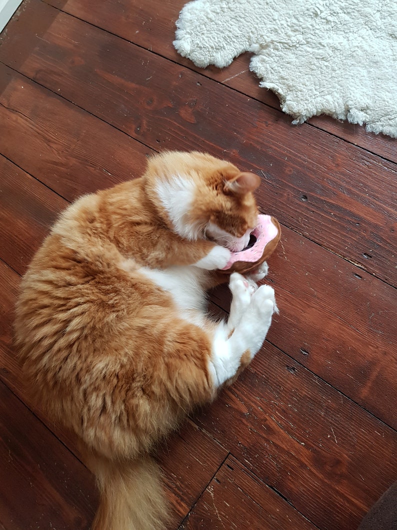 May include: A fluffy orange and white cat plays with a pink and brown donut-shaped toy on a dark wood floor. The cat is curled up, paws on the toy, with a white rug in the background.