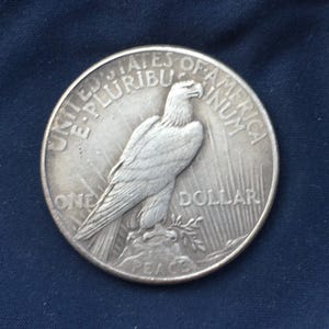 Liberty 1993 coin collecting - Etsy 日本