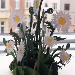 Fleurs, Marguerite, Popup, 3D, Anniversaire, Carte de voeux, Anniversaire, Fait main, Jardin