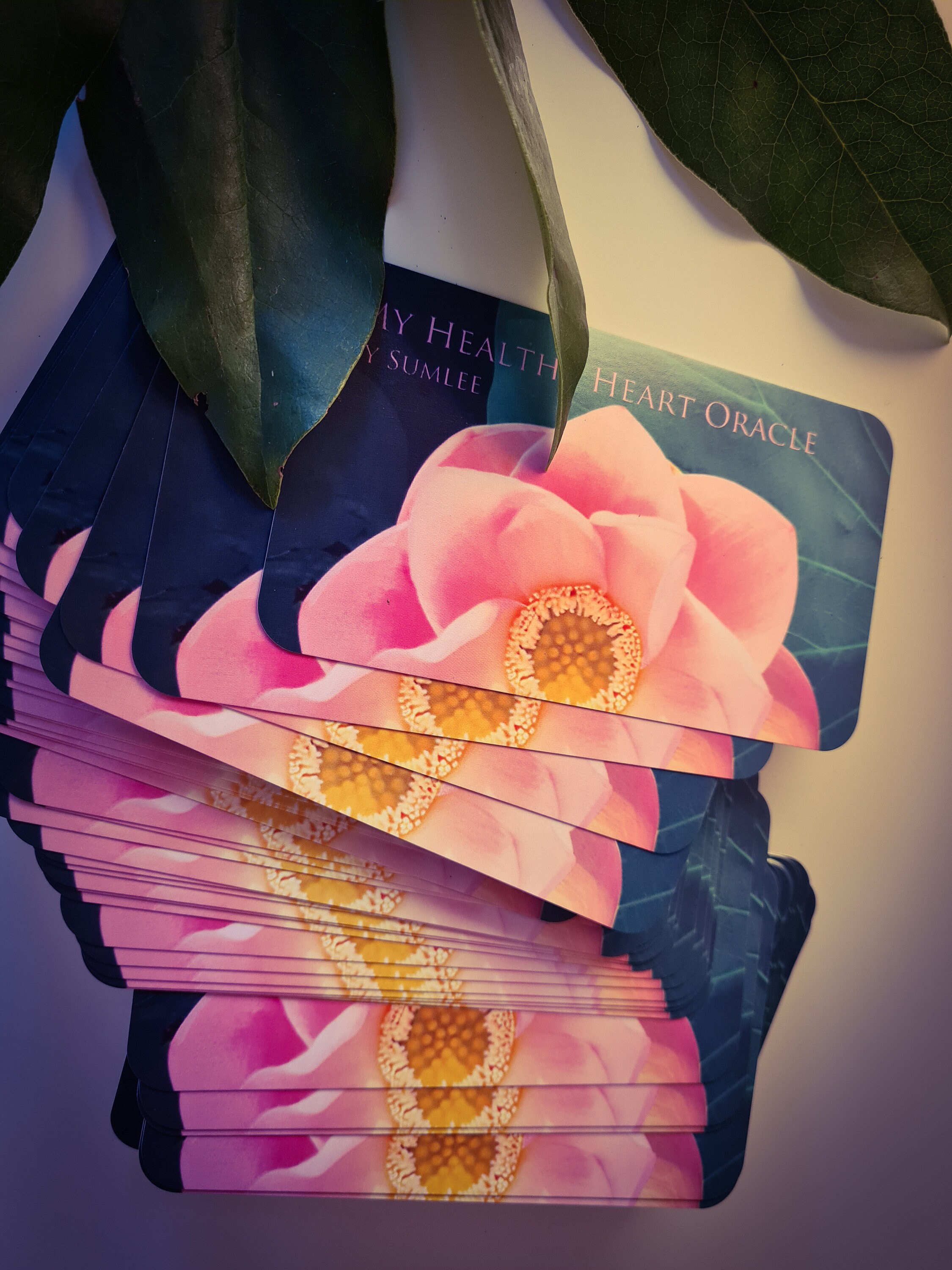 My Healthy Heart Oracle Cards/self Created Etsy UK