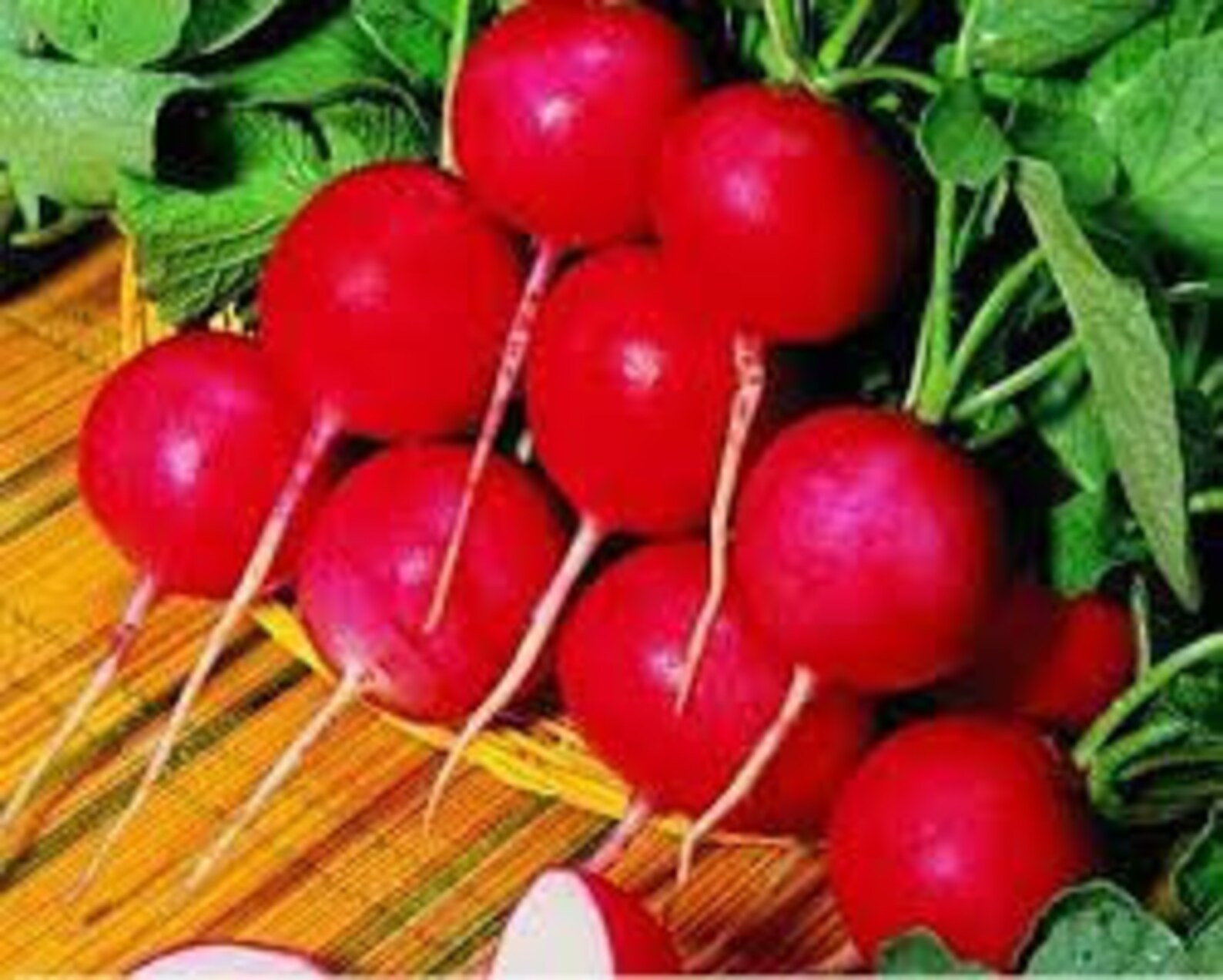 Natural Vegetable Radish Oil Giant Seeds Organic Ukraine Etsy