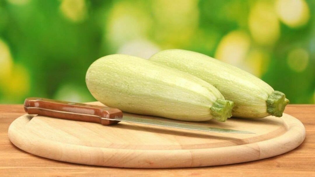 Semillas Squash Zucchini Aspirant White Vegetable Heirloom Organic Ucrania Etsy España