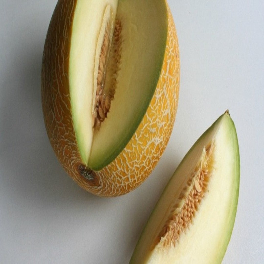 Buy Natural Fruit Melon Old Israel Seeds Organic Ukraine Online in