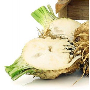 Könnte beinhalten: Nahaufnahme einer Sellerieknolle, die in zwei Hälften geschnitten ist und das weiße Fruchtfleisch und die grünen Blätter zeigt. Die Knolle liegt auf einer Holzkiste.