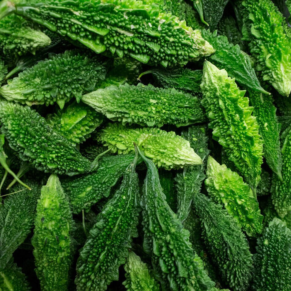 Seeds Rare Momordica Chinese Bitter Cucumber Organic Heirloom Etsy